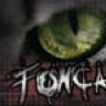 Tomcatxk