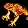 Fire_Frog