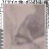 Nactor
