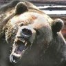 Ursus