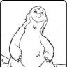 Snoook
