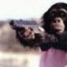 WantedMonkey
