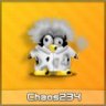 Chaos234