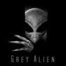 Greyalien