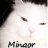 mingor