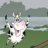 Flying_Kuh